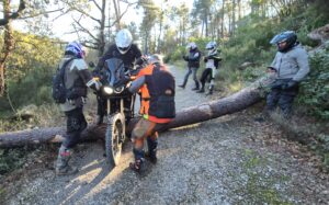 Rando Trail et MaxiTrail Dolmens et Salagou 12 janvier 2025
