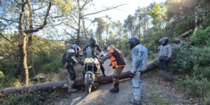 Rando Trail et MaxiTrail Dolmens et Salagou 12 janvier 2025