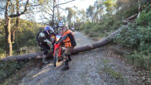 Rando Trail et MaxiTrail Dolmens et Salagou 12 janvier 2025