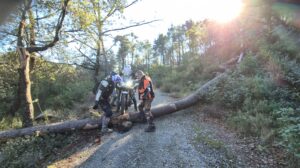 Rando Trail et MaxiTrail Dolmens et Salagou 12 janvier 2025