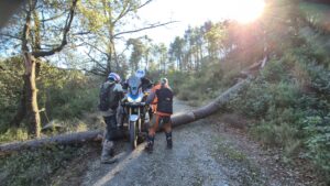 Rando Trail et MaxiTrail Dolmens et Salagou 12 janvier 2025