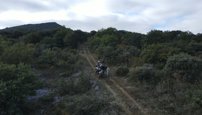 En plaine héraultaise