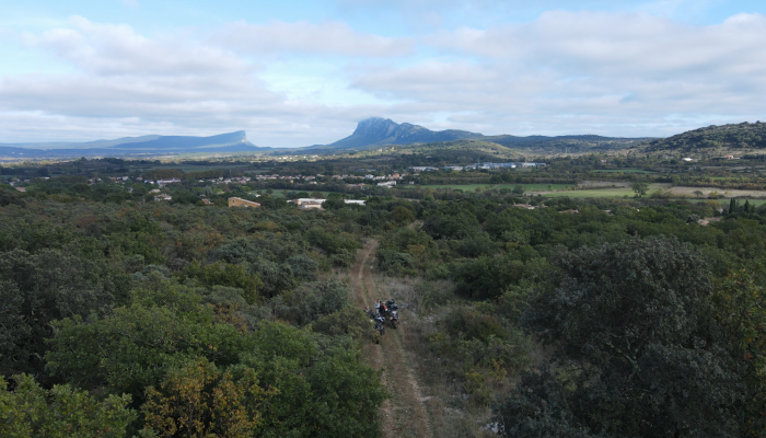 En plaine héraultaise